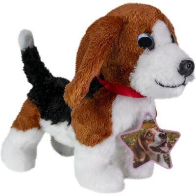 Lumo Stars Beagle Cooper classic (16 cm) Lumo Stars Beagle Cooper classic (16 cm)