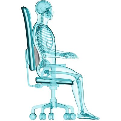 Travel Blue Ergonomic back support, Reisezubehör, Grau Travel Blue Ergonomic back support, Reisezubehör, Grau