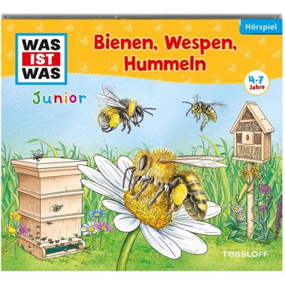 Tessloff WAS IST WAS Junior Hörspiel. Bienen, Wespen, Hummeln, Hörbücher von Christian Hagitte, Lars Schmidtke, Simon Bertling, Daniela Wakonigg Tessloff WAS IST WAS Junior Hörspiel. Bienen, Wespen, Hummeln, Hörbücher von Christian Hagitte, Lars Schmidtke, Simon Bertling, Daniela Wakonigg