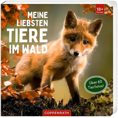 Meine liebsten Tiere im Wald, Kinderbücher von Coppenrath Verlag Meine liebsten Tiere im Wald, Kinderbücher von Coppenrath Verlag