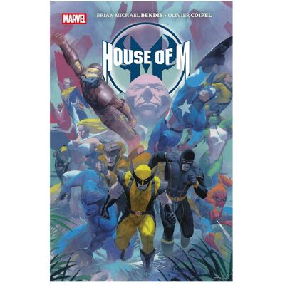Panini House of M (Pocket Edition), Belletristik von Michael Strittmatter, Brian Michael Bendis, Olivier Coipel Panini House of M (Pocket Edition), Belletristik von Michael Strittmatter, Brian Michael Bendis, Olivier Coipel