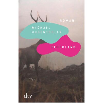 DTV Feuerland, Belletristik von Michael Hugentobler DTV Feuerland, Belletristik von Michael Hugentobler