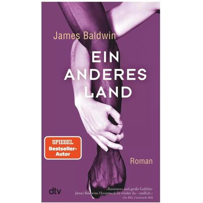 DTV Ein anderes Land, Belletristik von René Aguigah, Miriam Mandelkow, James Baldwin DTV Ein anderes Land, Belletristik von René Aguigah, Miriam Mandelkow, James Baldwin