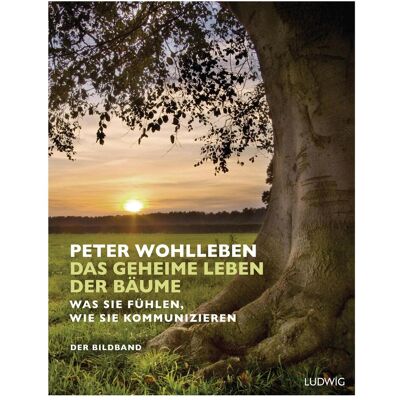 Ludwig Das geheime Leben der Bäume, Ratgeber von Peter Wohlleben Ludwig Das geheime Leben der Bäume, Ratgeber von Peter Wohlleben