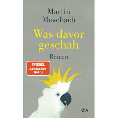 DTV Was davor geschah, Belletristik von Martin Mosebach DTV Was davor geschah, Belletristik von Martin Mosebach