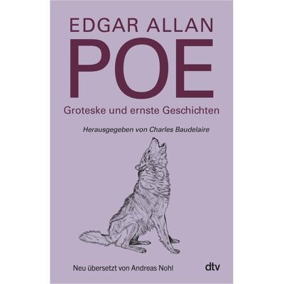 DTV Groteske und ernste Geschichten, Belletristik von Edgar Allan Poe DTV Groteske und ernste Geschichten, Belletristik von Edgar Allan Poe