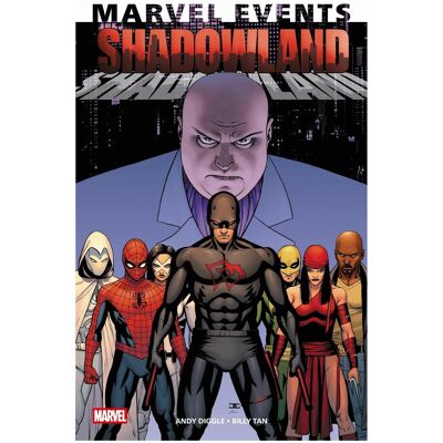Panini Marvel Events: Shadowland, Belletristik von Andy Diggle, Billy Tan, Robert Syska Panini Marvel Events: Shadowland, Belletristik von Andy Diggle, Billy Tan, Robert Syska
