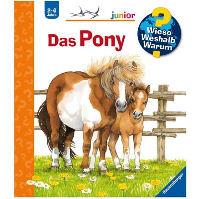 Ravensburger Das Pony, Kinderbücher von Thea Ross Ravensburger Das Pony, Kinderbücher von Thea Ross