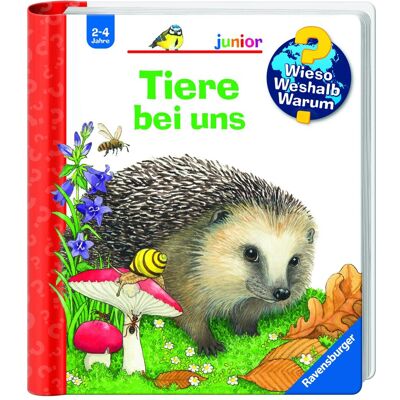 Ravensburger Kinder-Sachbuch WWW Tiere bei uns, Kinderbücher von Patricia Mennen, Anne Ebert Ravensburger Kinder-Sachbuch WWW Tiere bei uns, Kinderbücher von Patricia Mennen, Anne Ebert