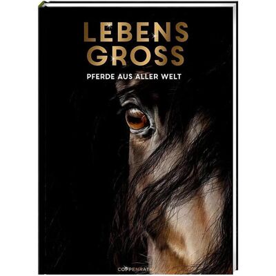 Coppenrath Lebensgross, Kinderbücher von Susan Niessen, Julia Gerigk Coppenrath Lebensgross, Kinderbücher von Susan Niessen, Julia Gerigk