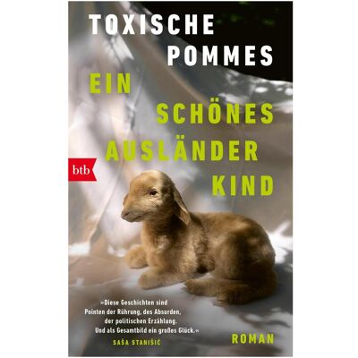 btb Ein schönes Ausländerkind, Belletristik von Toxische Pommes btb Ein schönes Ausländerkind, Belletristik von Toxische Pommes