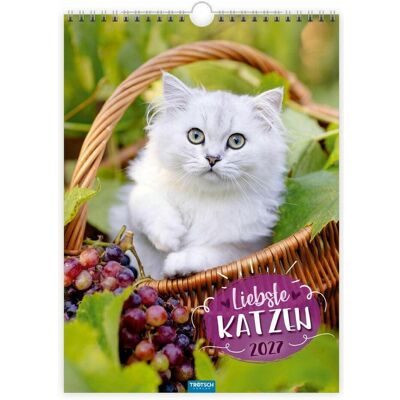 Trötsch, Kalender, - Classickalender Liebste Katzen 2027 Trötsch, Kalender, - Classickalender Liebste Katzen 2027