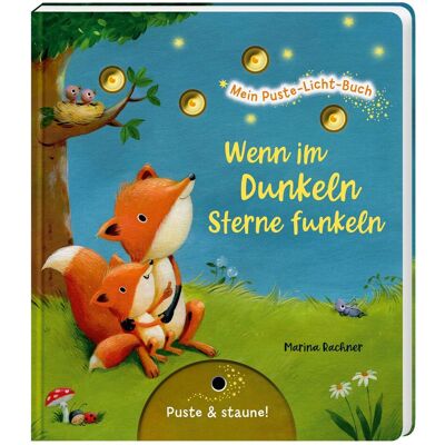 Esslinger Mein Puste-Licht-Buch: Wenn im Dunkeln Sterne funkeln, Kinderbücher von Christina Nömer Esslinger Mein Puste-Licht-Buch: Wenn im Dunkeln Sterne funkeln, Kinderbücher von Christina Nömer