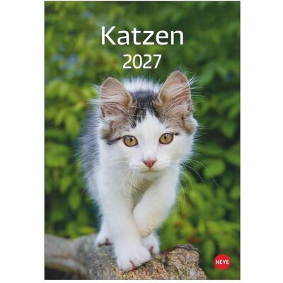 Athesia, Kalender, Katzen Kalender 2027 Athesia, Kalender, Katzen Kalender 2027