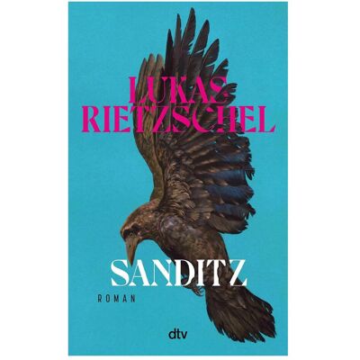 DTV Sanditz, Belletristik von Lukas Rietzschel DTV Sanditz, Belletristik von Lukas Rietzschel