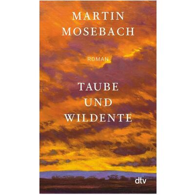 DTV Taube und Wildente, Belletristik von Martin Mosebach DTV Taube und Wildente, Belletristik von Martin Mosebach