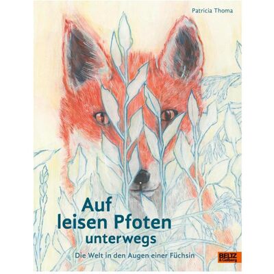 Beltz & Gelberg Auf leisen Pfoten unterwegs, Kinderbücher von Patricia Thoma Beltz & Gelberg Auf leisen Pfoten unterwegs, Kinderbücher von Patricia Thoma