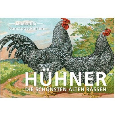 Anaconda Grusskarte + Briefpapier, Postkarten-Set Hühner (20 Stk.) Anaconda Grusskarte + Briefpapier, Postkarten-Set Hühner (20 Stk.)
