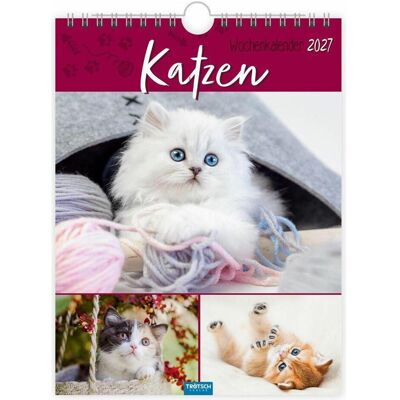 Trötsch, Kalender, Katzen2027 Trötsch, Kalender, Katzen2027