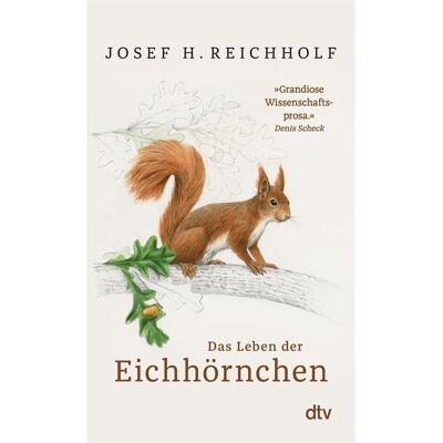 DTV Das Leben der Eichhörnchen, Sachbücher von Josef H. Reichholf DTV Das Leben der Eichhörnchen, Sachbücher von Josef H. Reichholf