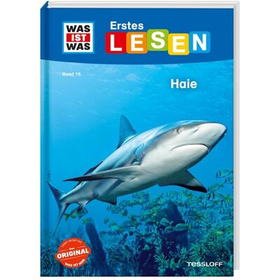 Tessloff WAS IST WAS Erstes Lesen Band 16. Haie, Kinderbücher von Christina Braun Tessloff WAS IST WAS Erstes Lesen Band 16. Haie, Kinderbücher von Christina Braun