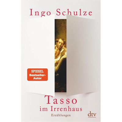 DTV Tasso im Irrenhaus, Belletristik von Ingo Schulze DTV Tasso im Irrenhaus, Belletristik von Ingo Schulze
