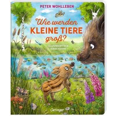 Oetinger Wie werden kleine Tiere gross?, Kinderbücher von Diana Kohne, Peter Wohlleben Oetinger Wie werden kleine Tiere gross?, Kinderbücher von Diana Kohne, Peter Wohlleben