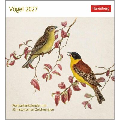 Harenberg, Kalender, Vögel Postkartenkalender 2027 - Postkartenkalender mit 53 historischen Zeichnungen Harenberg, Kalender, Vögel Postkartenkalender 2027 - Postkartenkalender mit 53 historischen Zeichnungen
