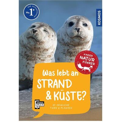 Kosmos Was lebt an Strand und Küste? Kindernaturführer, Kinderbücher von Holger Haag Kosmos Was lebt an Strand und Küste? Kindernaturführer, Kinderbücher von Holger Haag