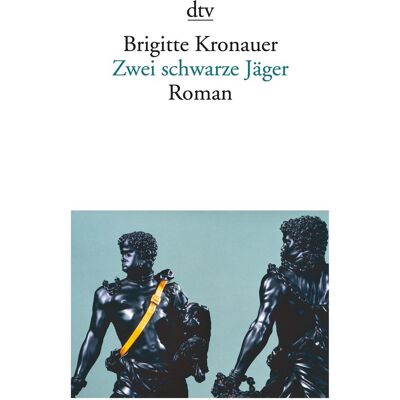 DTV Zwei schwarze Jäger, Belletristik von Brigitte Kronauer DTV Zwei schwarze Jäger, Belletristik von Brigitte Kronauer