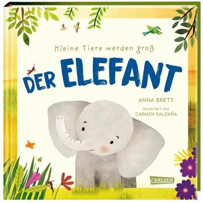Carlsen Kleine Tiere werden gross - Der Elefant, Hörbücher von Carmen Saldaña, Anna Brett Carlsen Kleine Tiere werden gross - Der Elefant, Hörbücher von Carmen Saldaña, Anna Brett
