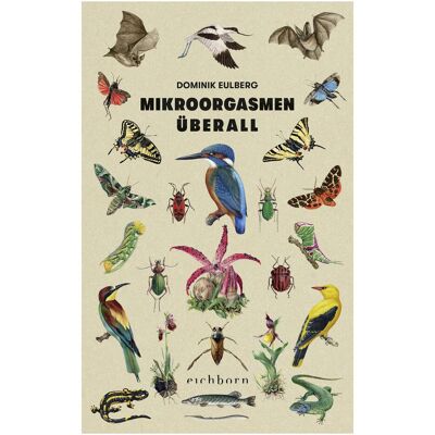 Eichborn Mikroorgasmen überall, Belletristik von Dominik Eulberg Eichborn Mikroorgasmen überall, Belletristik von Dominik Eulberg