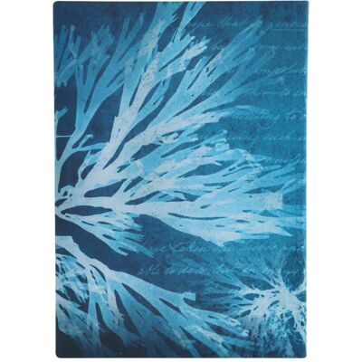 Paperblanks, Heft + Block, Notizbuch Softcover Meeresblumen Midi Liniert (MIDI, Liniert, Weicher Einband) Paperblanks, Heft + Block, Notizbuch Softcover Meeresblumen Midi Liniert (MIDI, Liniert, Weicher Einband)