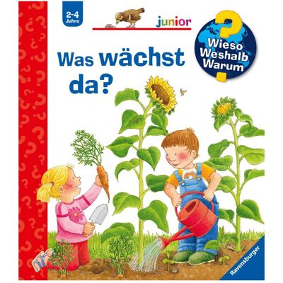 Ravensburger Was wächst da?, Kinderbücher von Constanza Droop Ravensburger Was wächst da?, Kinderbücher von Constanza Droop