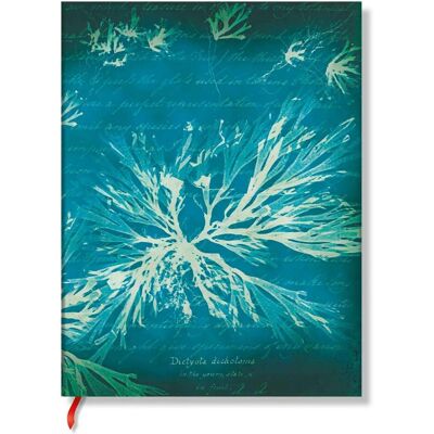 Paperblanks, Heft + Block, Notizbuch Softcover Meeresblumen Ultra Liniert (A5, Liniert, Weicher Einband) Paperblanks, Heft + Block, Notizbuch Softcover Meeresblumen Ultra Liniert (A5, Liniert, Weicher Einband)
