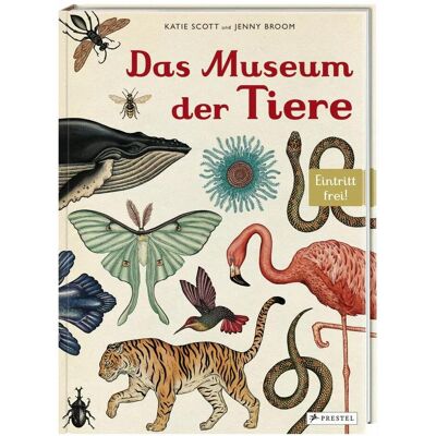 Prestel Das Museum der Tiere, Kinderbücher von Katie Scott, Jenny Broom Prestel Das Museum der Tiere, Kinderbücher von Katie Scott, Jenny Broom