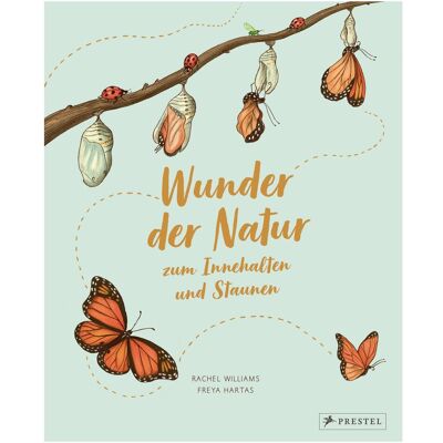 Prestel Wunder der Natur zum Innehalten und Staunen, Kinderbücher von Rachel Williams Prestel Wunder der Natur zum Innehalten und Staunen, Kinderbücher von Rachel Williams
