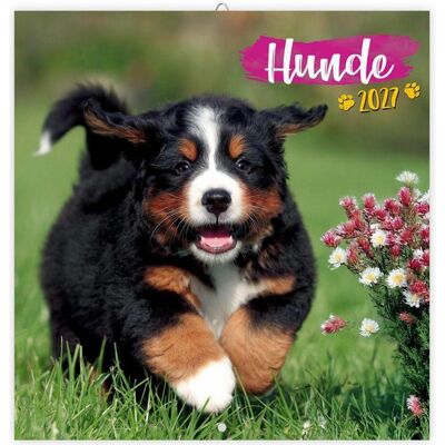 Trötsch, Kalender, Hunde2027 Trötsch, Kalender, Hunde2027
