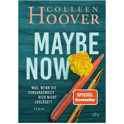 DTV Maybe Now, Belletristik von Colleen Hoover, Kattrin Stier DTV Maybe Now, Belletristik von Colleen Hoover, Kattrin Stier