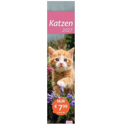 Athesia, Agenda, times&more Katzen Langplaner 2027 (Spezial) Athesia, Agenda, times&more Katzen Langplaner 2027 (Spezial)