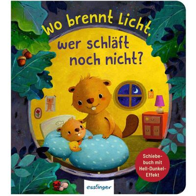Thienemann Wo brennt Licht, wer schläft noch nicht?, Kinderbücher von Anja Kiel Thienemann Wo brennt Licht, wer schläft noch nicht?, Kinderbücher von Anja Kiel