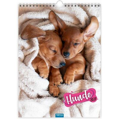Trötsch, Kalender, - Classickalender Hunde 2027 Trötsch, Kalender, - Classickalender Hunde 2027