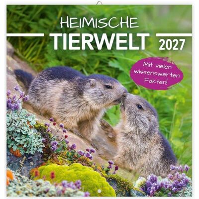 Trötsch, Kalender, HeimischeTierwelt2027 Trötsch, Kalender, HeimischeTierwelt2027