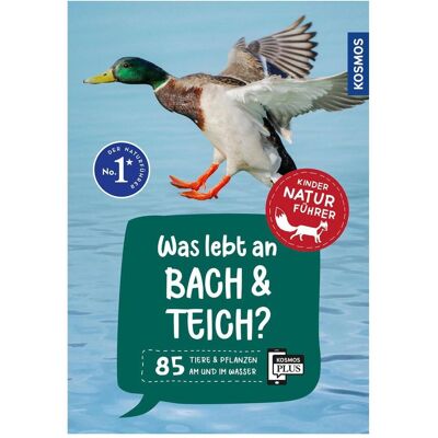 Kosmos van Saan:Was lebt an Bach und Teich? Ki, Kinderbücher von Anita van Saan Kosmos van Saan:Was lebt an Bach und Teich? Ki, Kinderbücher von Anita van Saan