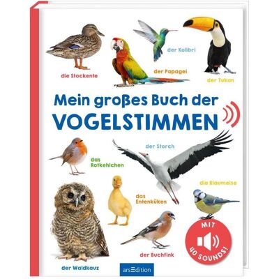 Ars Edition Mein grosses Buch der Vogelstimmen, Kinderbücher Ars Edition Mein grosses Buch der Vogelstimmen, Kinderbücher