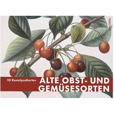 Anaconda Grusskarte + Briefpapier, Postkarten Grossformat Alte Obst- und Gemüsesorten Anaconda Grusskarte + Briefpapier, Postkarten Grossformat Alte Obst- und Gemüsesorten