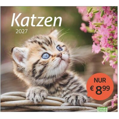 Athesia, Kalender, times&more Katzen Bildkalender 2027 Athesia, Kalender, times&more Katzen Bildkalender 2027