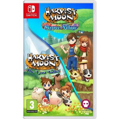 Numskull, Harvest Moon: The Lost Valley & Skytree Village Numskull, Harvest Moon: The Lost Valley & Skytree Village