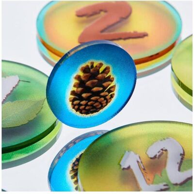 E-Raptor Token und Marker: Photosynthese -Token -Set (GB) E-Raptor Token und Marker: Photosynthese -Token -Set (GB)