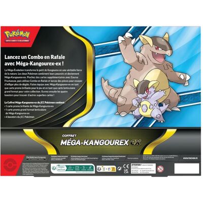 Pokémon P-FR November ex Box (Französisch, Box Set & Collection) Pokémon P-FR November ex Box (Französisch, Box Set & Collection)